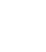 Spacerem w las